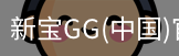新宝GG